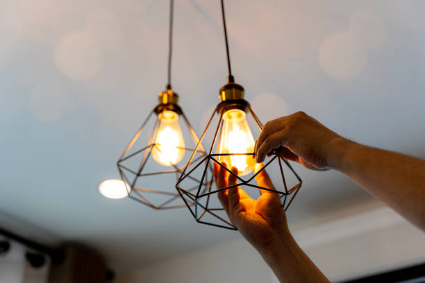 Best Electric Panel Repair  in Falcon Heights, MN