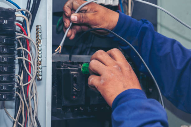 Best Electrical System Inspection  in Falcon Heights, MN